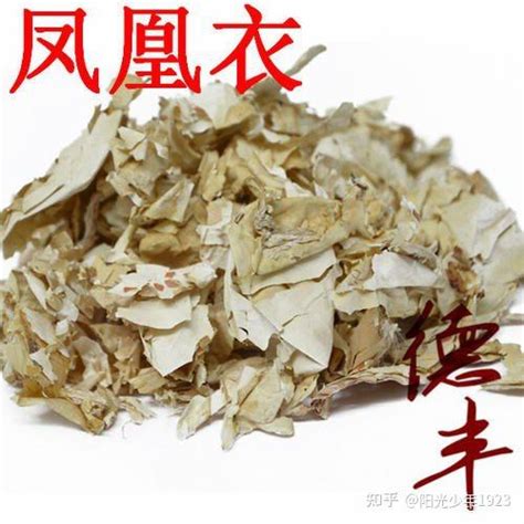 鳳凰衣的功效|鳳凰衣:入藥部位,性味,歸經,功效,主治,相關配伍,用法用量,使用注。